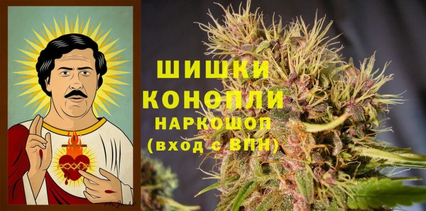 дурь Алзамай