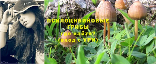 прущие крисы Алексин
