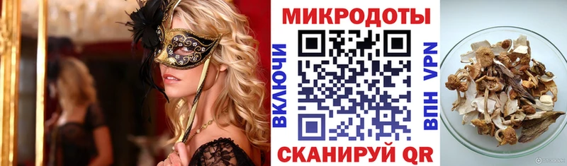 Галлюциногенные грибы Psilocybe  Отрадная 